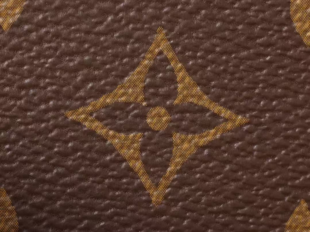 LV POCHETTE ACCESSOIRES BAG 23 IN BROWN MONOGRAM CANVAS