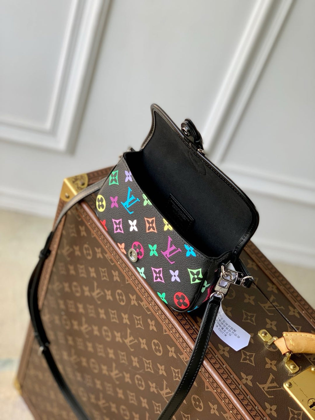 DIANE NANO BAG 19 IN MULTICOLOR MONOGRAM CANVAS AND BLACK COWHIDE