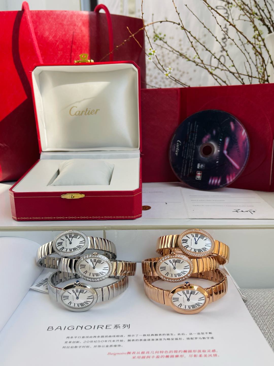 BAIGNOIRE DE CARTIER – OVAL SHAPE SILVER WITH SINGLE LINE DIAMONDS