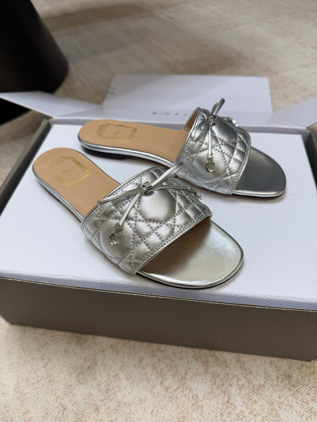 DIOR 26S DWAY CANNAGE SLIDE IN SILVER LAMBSKIN