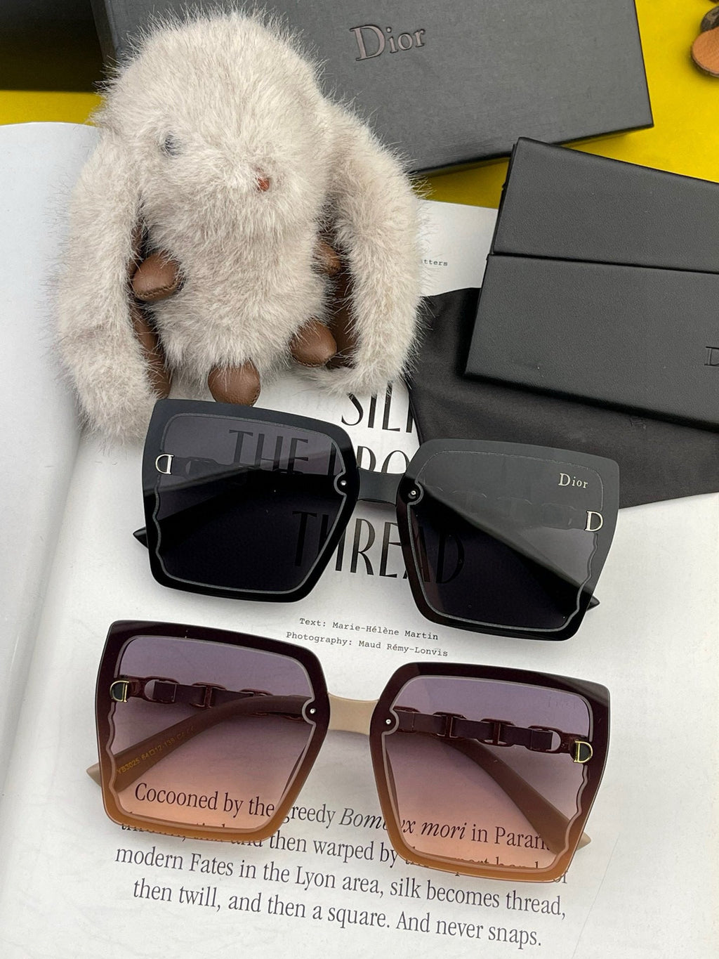 MONTAIGNE SUNGLASS CD5302 IN ACETATE EMBOSSED LOGO